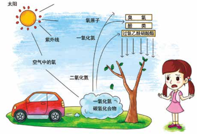 臭氧知識(shí)科普（2） | 臭氧跟光化學(xué)煙霧、PM2.5有什么關(guān)系？